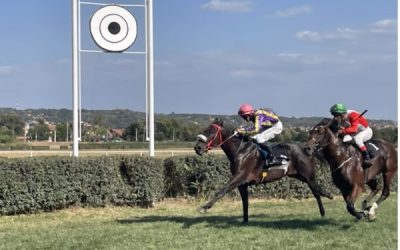 Други дан 61. Љубичевских коњичких игара